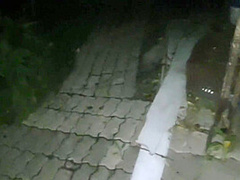 Dal V Rot Zamuzhnei Sosedke U Nee Vo Dvore I Obkonchal Ei Lico V Ih Semeinoi Posteli