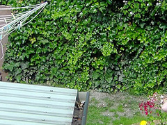 Amazing Xxx Video Big Tits Craziest Ever Seen