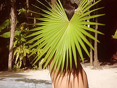 Claudia Tihan in Island Attitude - PlayboyPlus