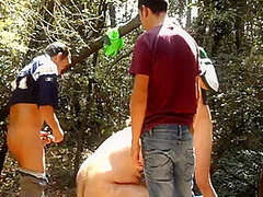 Public Encounters 20 Min