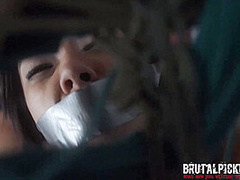 Adrian Maya Brutal Pick-Ups Tow Or Blow