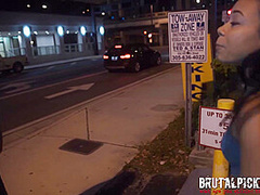 Adrian Maya Brutal Pick-Ups Tow Or Blow