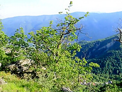 Mountain Hike Ends With Cum In Mouth On The Rocks