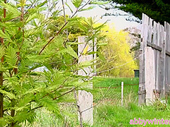 Watch This Jav Cunt Stripping Outdoor In Woods