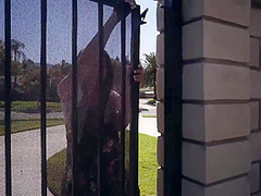 Ella Knox In Ring My Bells!