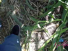 Lily Adams In Corn Maze