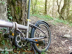 Tara Cherry In Aide A Un Cycliste Qui A Creve Dans Foret Pour Le Regonfler