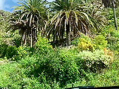 Cum Play After Deepthroath On Top Of The Island Juicyfeelings