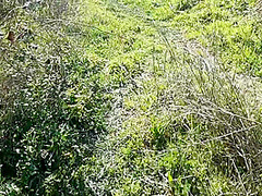 Strepitoso Pompino In Pubblico Mentre Passeggio Al Parco. Sborrata Sulla Faccia .votate Per Me !!!!