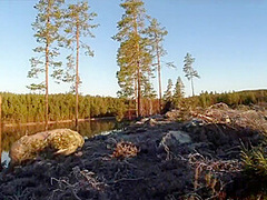 Sex On A Reindeer Skin Next To A Forest Lake