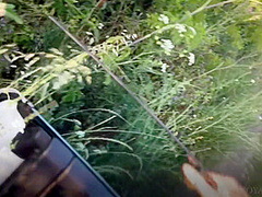 Risky Outdoor Clothed Quickie With Tall Fashion Model Pov Sex - Yoya Grey