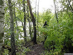 Fucked and creampied by random strangers at the cruising area