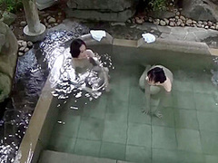 A Number Of Videos Captured By A Camera In A Mixed Bath