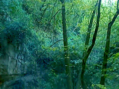 Kim Equinoxx - Baise Et Sortilege Sorciere Reclame Mon Sperme