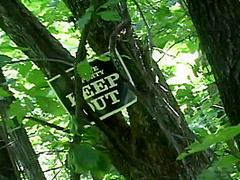 Two Girls Get Abducted While Hiking A Trail