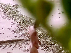 Nudist swingers caught in sexy action