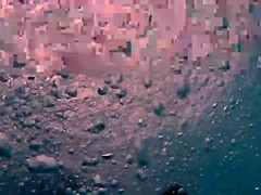 Bubble butt filmed under water