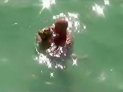 They started it in the water