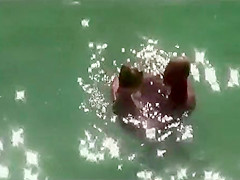 They started it in the water