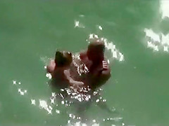 They started it in the water