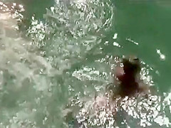 They started it in the water