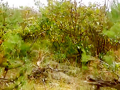 Rosi tenerife mamadas a chicos en monte la esperanza