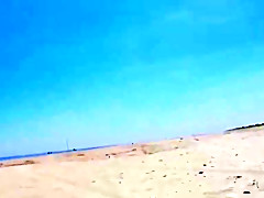 Wandering on the beach - saf