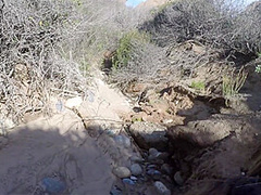 Jessica Jaymes And Van Wylde In Jessica Beach Public Pov Amateur Teaser