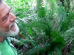 Deep Forest Blow Job 9 Min