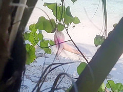 Sex On The Beach - Amateur Nudist Voyeur