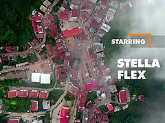 Stella Flex, Alexa Flexy And Cayenne Hot In And Horny For Dick In Their Pussies