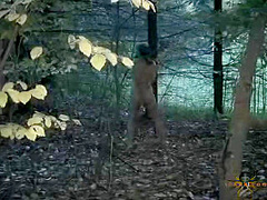 Insex 2000 05 01 Sapling Love Continues Tyler
