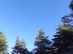 Pornmas #20 Ski Holiday! Hiding Behind A Tree To Masturbate - Lunacam
