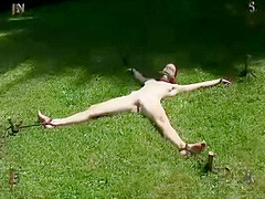 Insex 2004 04 28 Garden Gnomes