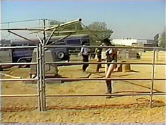 Pony Girls At The Ranch