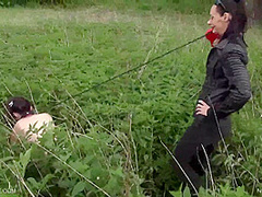 Nettles For The Puppy