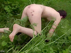 Nettles For The Puppy