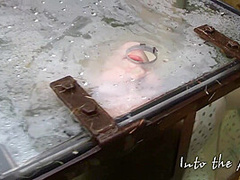Water Tank For Naomi