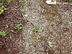 Wild Forest Screwing 1 - Sabby