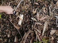 Hot Asian Gets Get Pussy Fuck Outdoor - Mi Ha Doan And Mi Ha
