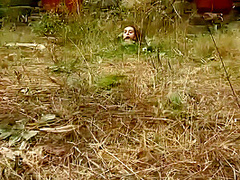 Insex 2004 10 13 Return Of The Brat 62 At The Farm