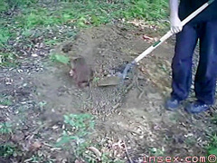 Cunt Tree - Outdoors Insex