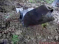 Cunt Tree - Outdoors Insex