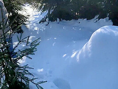 Almost Getting Caught Fucking From Behind In A Public Winter Forest