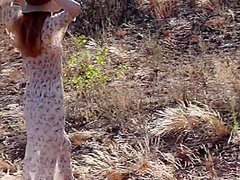 Outdoor Sex! Extreme Fuck In Nature. Risky Public Fuck