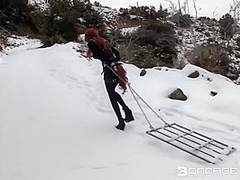 Winter Work