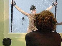 The Milgram Experiment - 2