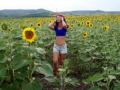 Striptease In Sunflowers