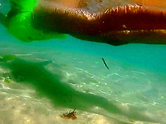 Nudism N Red Butt Plug Adventure On Wild Beach # Enjoy My Hiking To Pristine Places Of South Pacific