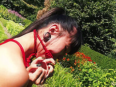 A Flawless Day In The Park - Video